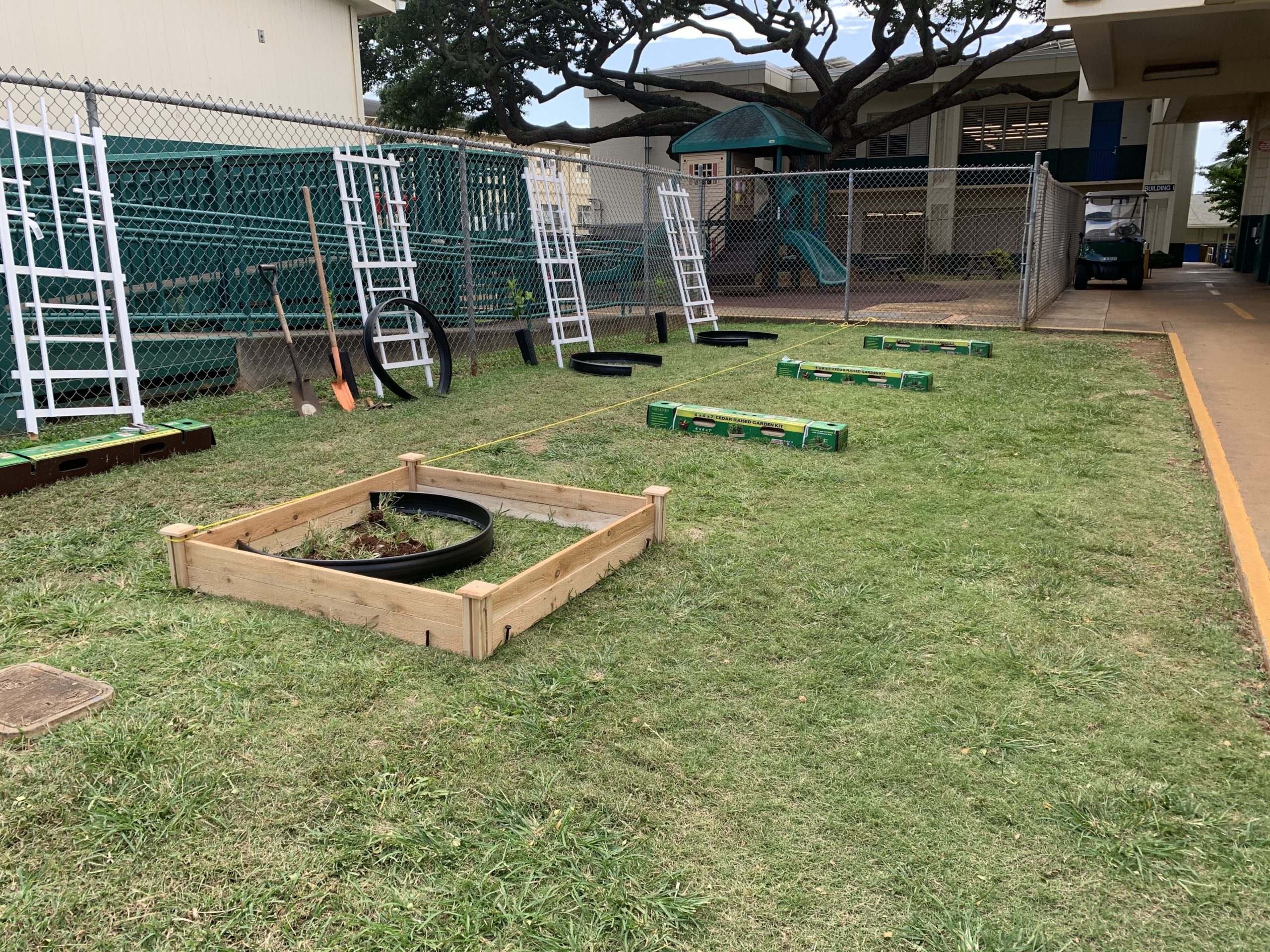 Project Lemon Tree plant bed set-up for Fern Elementary 5th Graders | Bizgenics Foundation