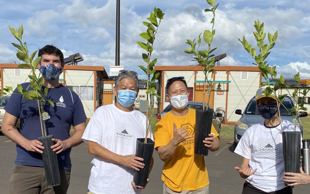 Project Lemon Tree Supports Kahauiki Village